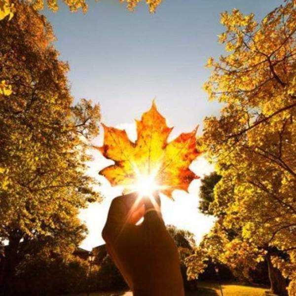 Mi-e tot mai&nbsp;toamnă