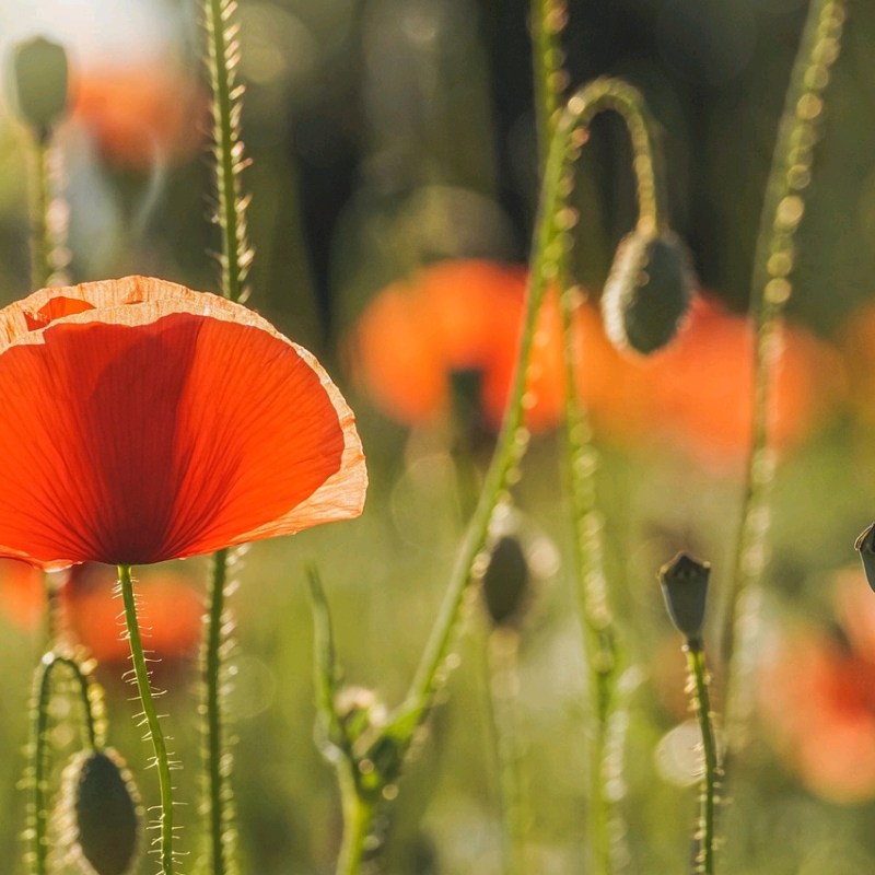 La vadul cu îmbrățişări&nbsp;fugare